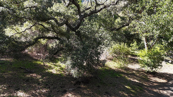 DJI 20251125114605 0058 D - 0.9.142