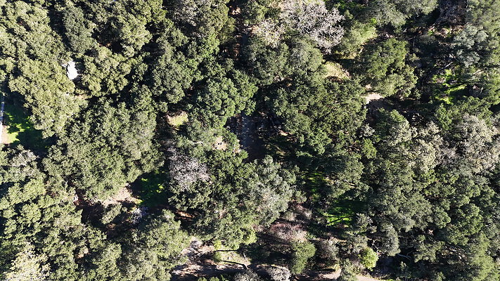 DJI 20251125114140 0035 D - 0.9.142