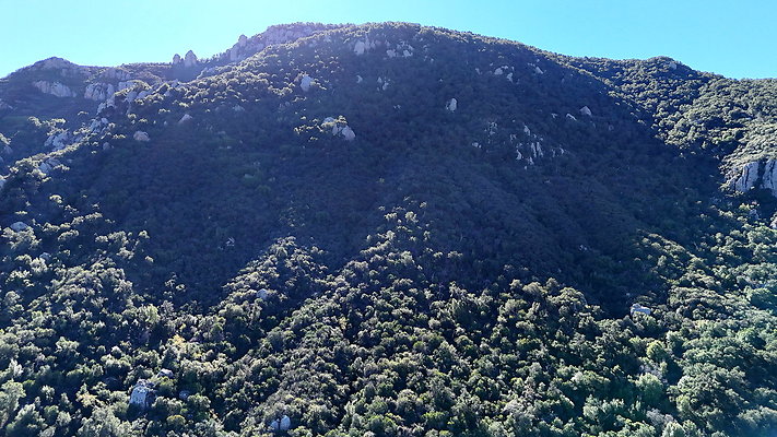 DJI 20251125114359 0051 D - 0.9.142