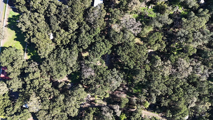 DJI 20251125114250 0045 D - 0.9.142