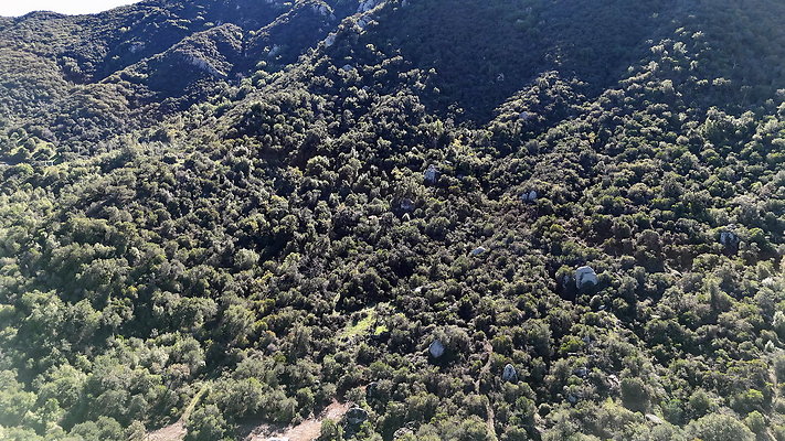 DJI 20251125114216 0041 D - 0.9.142