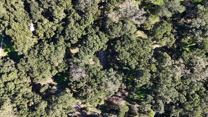 DJI 20251125114235 0044 D - 0.9.142