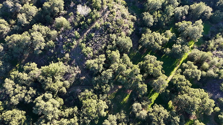 DJI 20251125144611 0111 D - 0.9.142