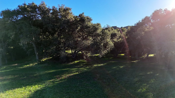 DJI 20251125145000 0131 D - 0.9.142