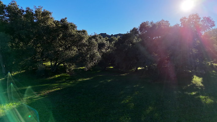 DJI 20251125144950 0129 D - 0.9.142