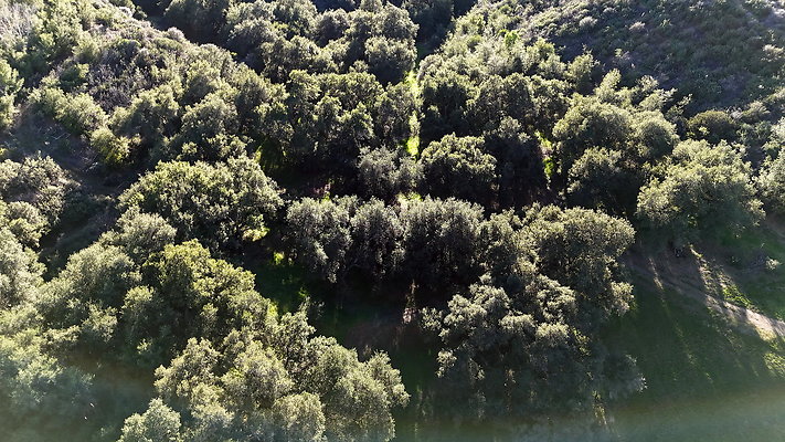 DJI 20251125144506 0106 D - 0.9.142