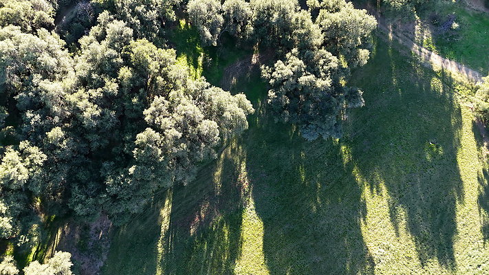 DJI 20251125144534 0108 D - 0.9.142