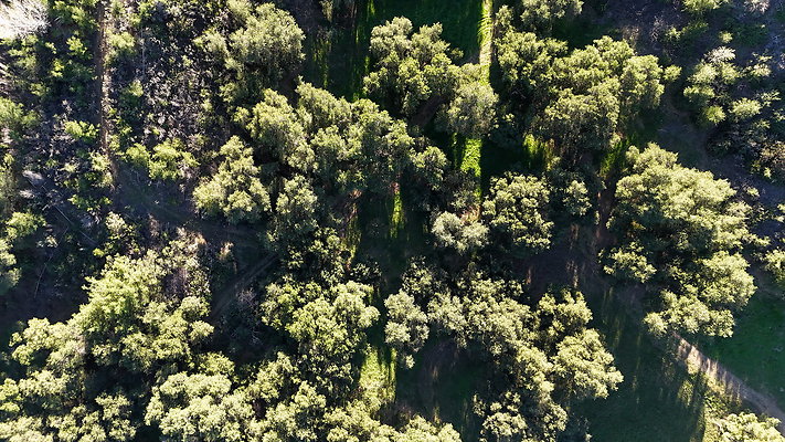 DJI 20251125144737 0127 D - 0.9.142