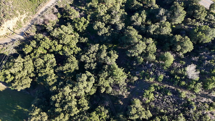 DJI 20251125144646 0116 D - 0.9.142