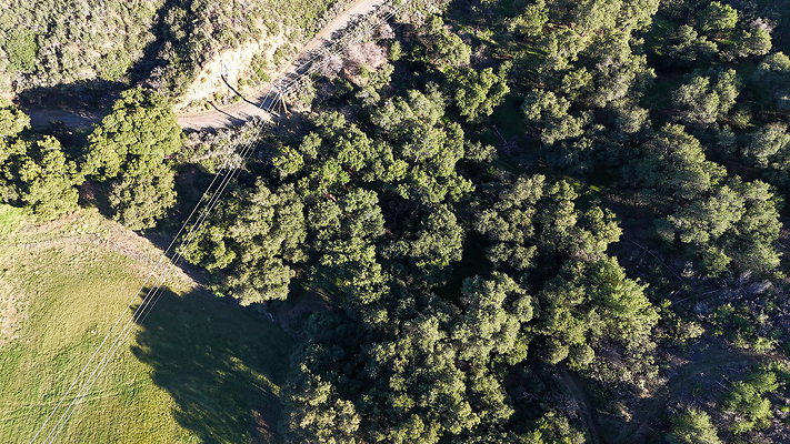 DJI 20251125144636 0115 D - 0.9.142