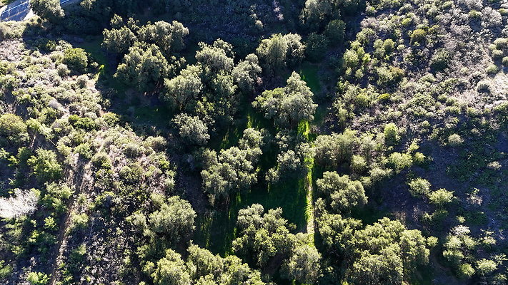 DJI 20251125144734 0126 D - 0.9.142