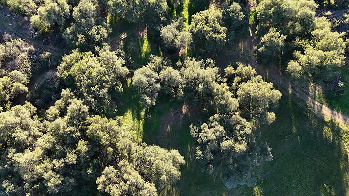 DJI 20251125144551 0109 D - 0.9.142