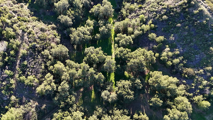 DJI 20251125144607 0110 D - 0.9.142