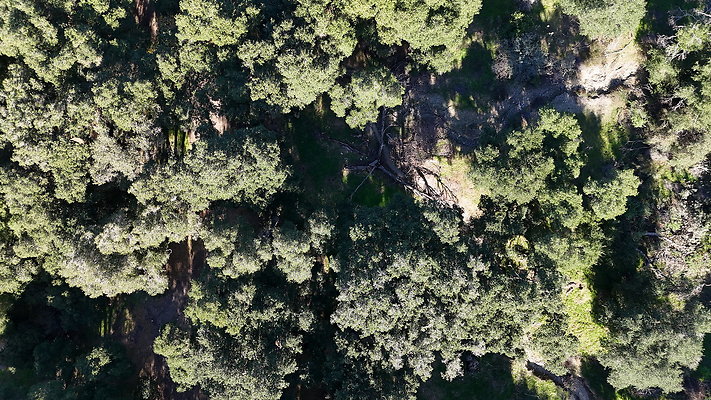 DJI 20251201130230 0049 D - 0.9.142