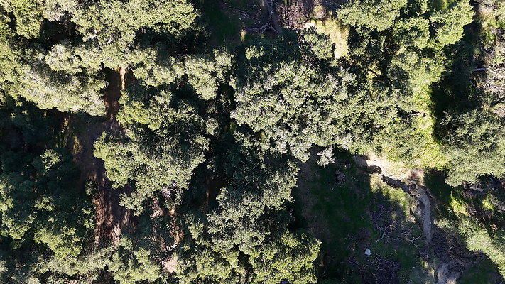 DJI 20251201130222 0048 D - 0.9.142