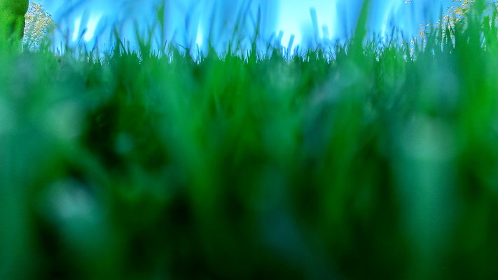 DJI 20251201102233 0016 D - 0.9.142